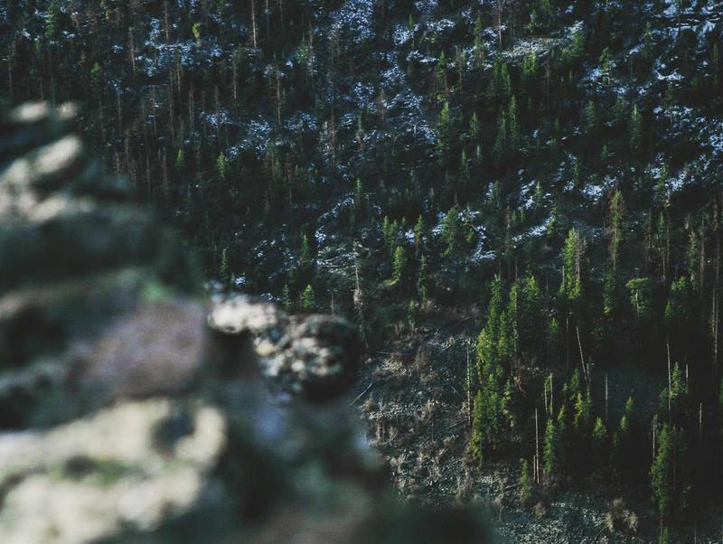 Rakennusliike K. Hämäläinen Oy